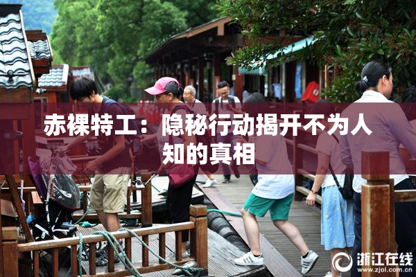 赤裸特工：隐秘行动揭开不为人知的真相