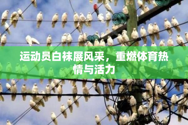 运动员白袜展风采，重燃体育热情与活力