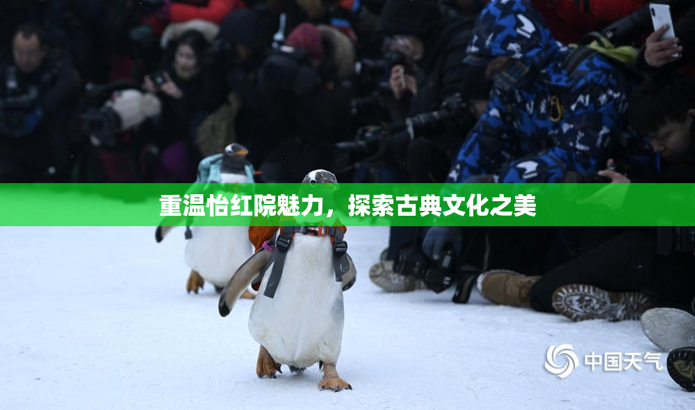重温怡红院魅力，探索古典文化之美