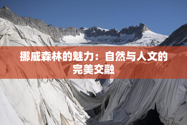 挪威森林的魅力：自然与人文的完美交融