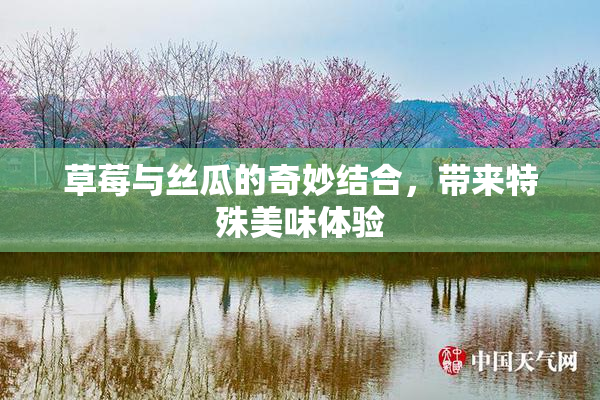 草莓与丝瓜的奇妙结合，带来特殊美味体验