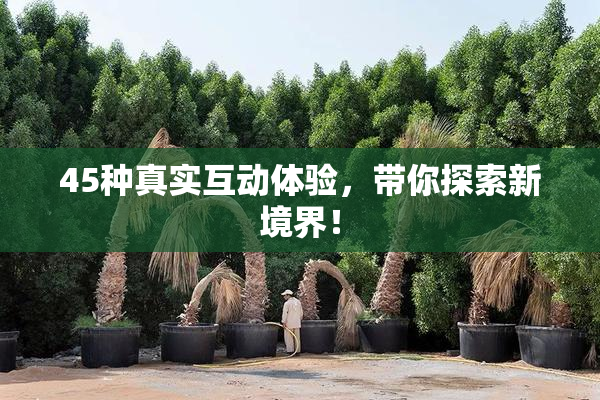 45种真实互动体验，带你探索新境界！