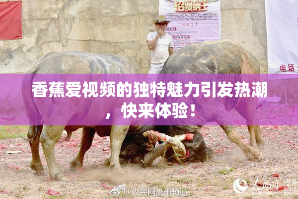 香蕉爱视频的独特魅力引发热潮，快来体验！