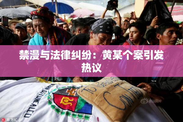 禁漫与法律纠纷：黄某个案引发热议