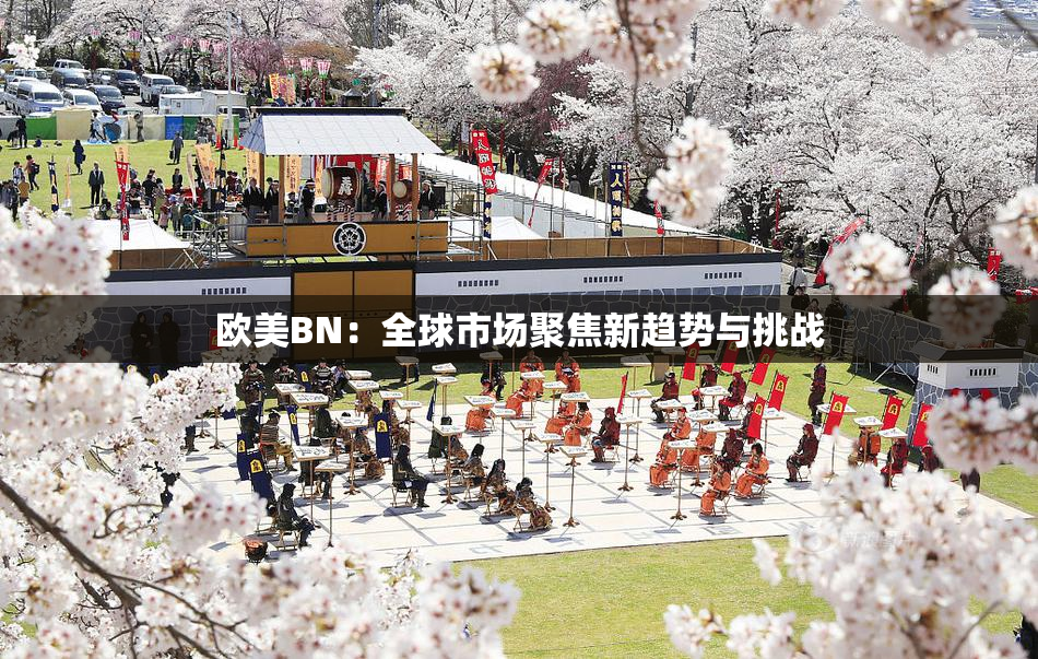 欧美BN：全球市场聚焦新趋势与挑战