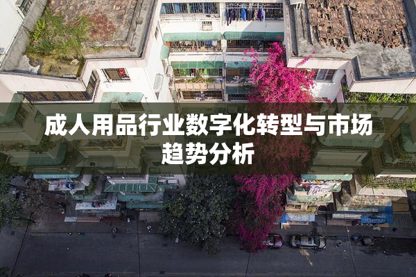 成人用品行业数字化转型与市场趋势分析