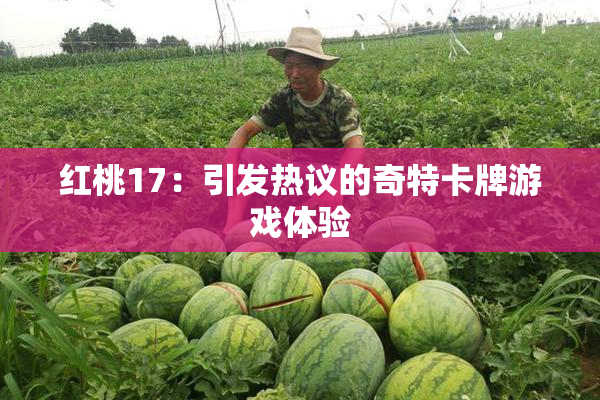 红桃17：引发热议的奇特卡牌游戏体验