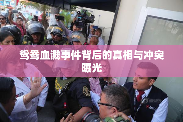 鸳鸯血溅事件背后的真相与冲突曝光