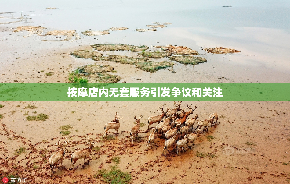按摩店内无套服务引发争议和关注