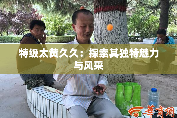 特级太黄久久：探索其独特魅力与风采