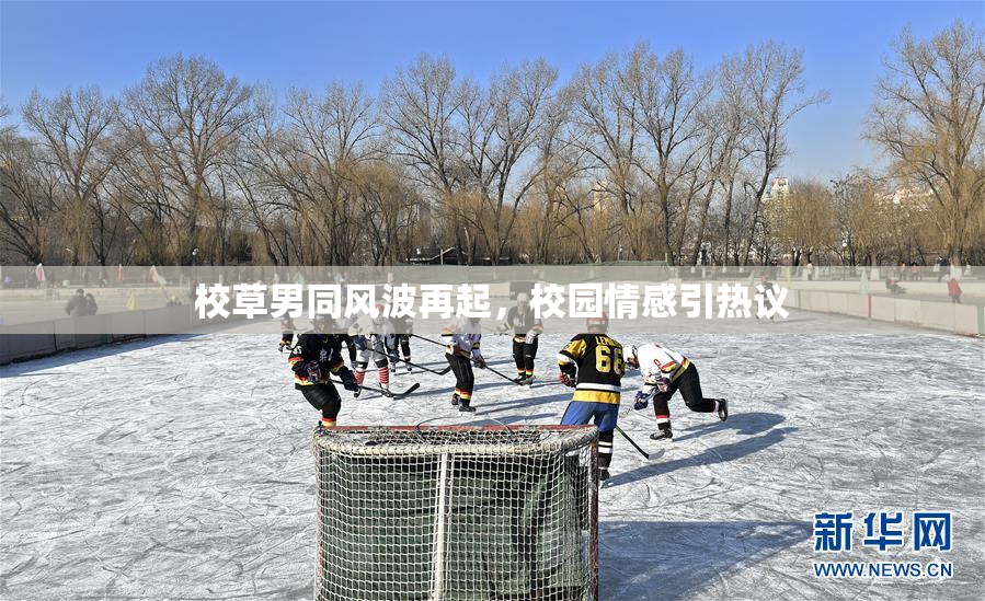 校草男同风波再起，校园情感引热议