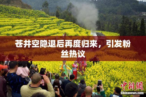 苍井空隐退后再度归来，引发粉丝热议