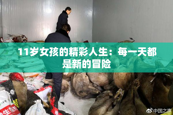 11岁女孩的精彩人生：每一天都是新的冒险