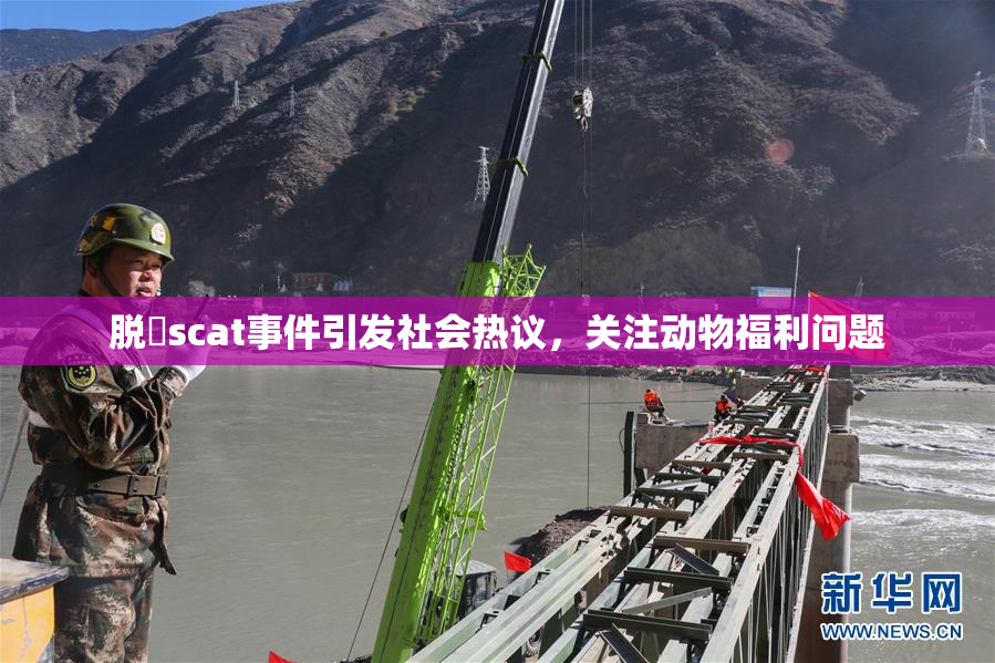 脱糞scat事件引发社会热议，关注动物福利问题
