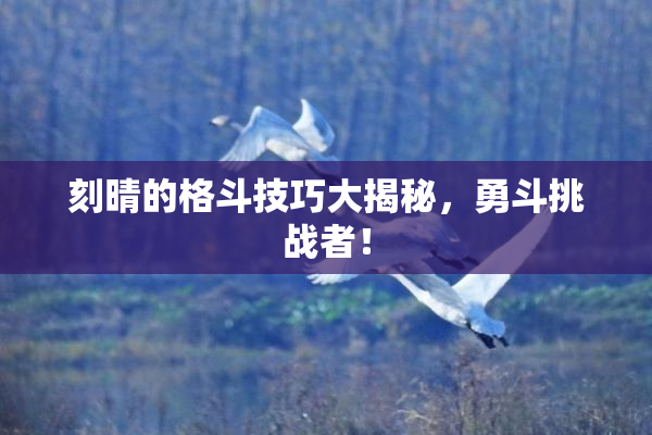 刻晴的格斗技巧大揭秘，勇斗挑战者！