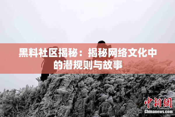 黑料社区揭秘：揭秘网络文化中的潜规则与故事