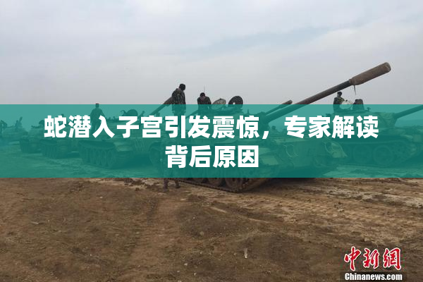 蛇潜入子宫引发震惊，专家解读背后原因