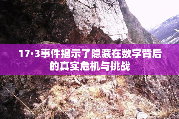 17·3事件揭示了隐藏在数字背后的真实危机与挑战
