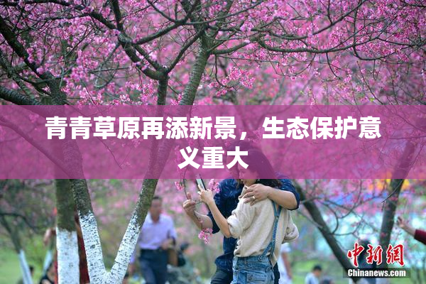 青青草原再添新景，生态保护意义重大