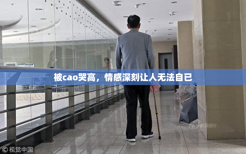 被cao哭高，情感深刻让人无法自已