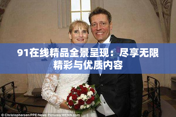 91在线精品全景呈现：尽享无限精彩与优质内容