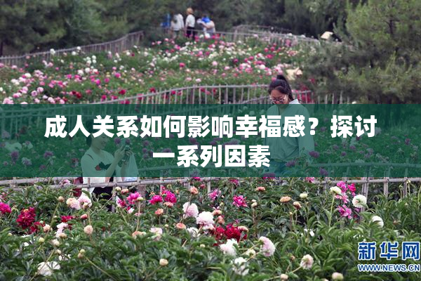 成人关系如何影响幸福感？探讨一系列因素