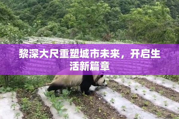 黎深大尺重塑城市未来，开启生活新篇章