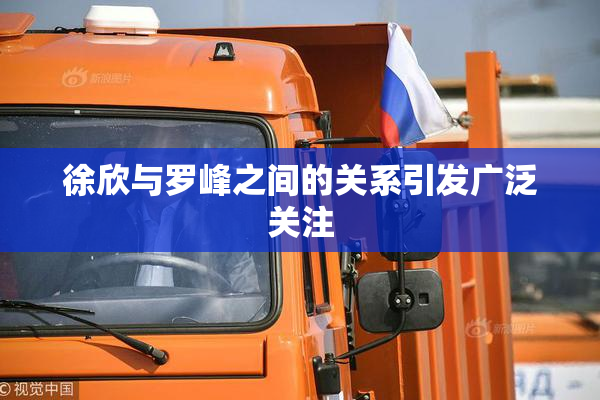 徐欣与罗峰之间的关系引发广泛关注
