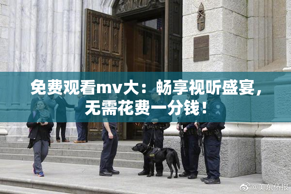 免费观看mv大：畅享视听盛宴，无需花费一分钱！