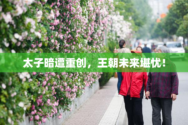 太子暗遭重创，王朝未来堪忧！