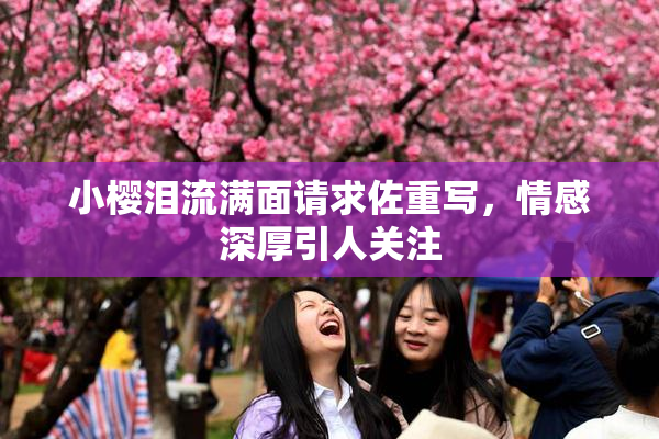 小樱泪流满面请求佐重写，情感深厚引人关注