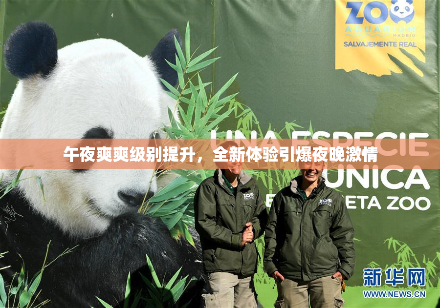 午夜爽爽级别提升，全新体验引爆夜晚激情