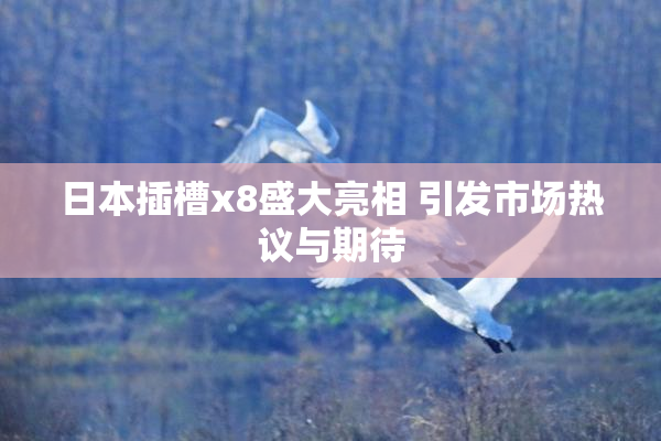 日本插槽x8盛大亮相 引发市场热议与期待