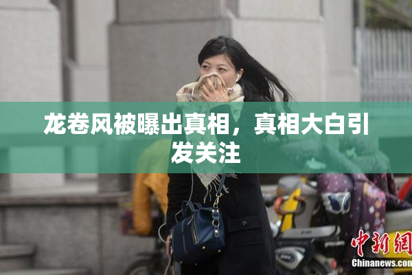 龙卷风被曝出真相，真相大白引发关注