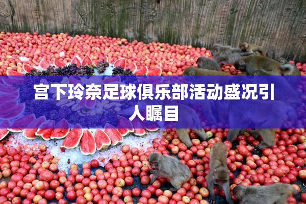 宫下玲奈足球俱乐部活动盛况引人瞩目