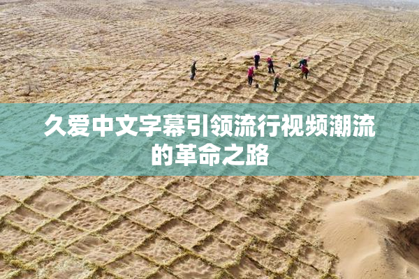 久爱中文字幕引领流行视频潮流的革命之路