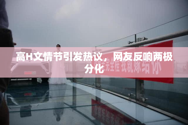 高H文情节引发热议，网友反响两极分化