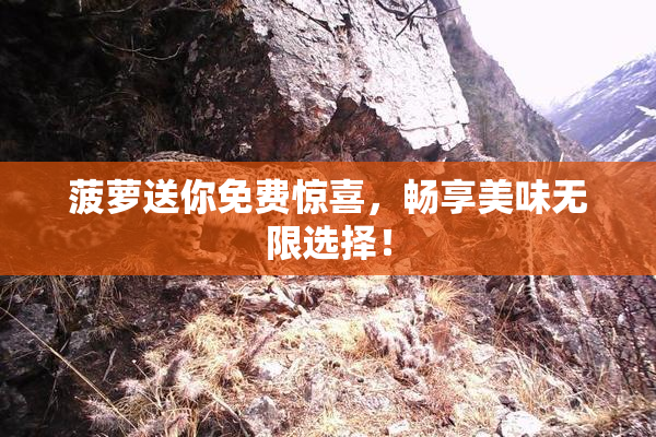 菠萝送你免费惊喜，畅享美味无限选择！
