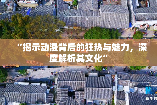 “揭示动漫背后的狂热与魅力，深度解析其文化”