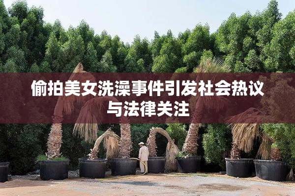 偷拍美女洗澡事件引发社会热议与法律关注
