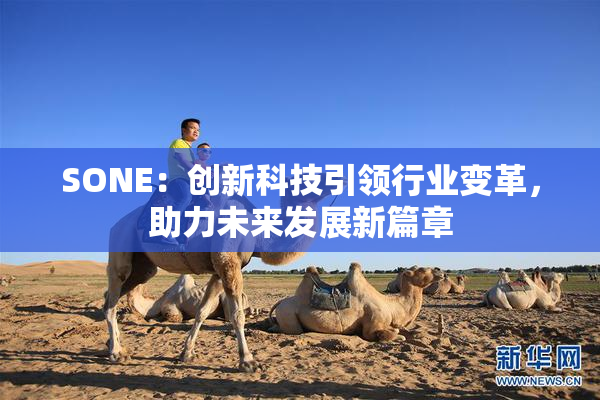SONE：创新科技引领行业变革，助力未来发展新篇章