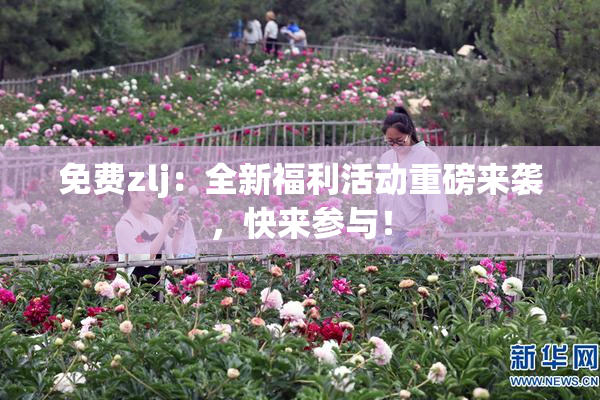 免费zlj：全新福利活动重磅来袭，快来参与！