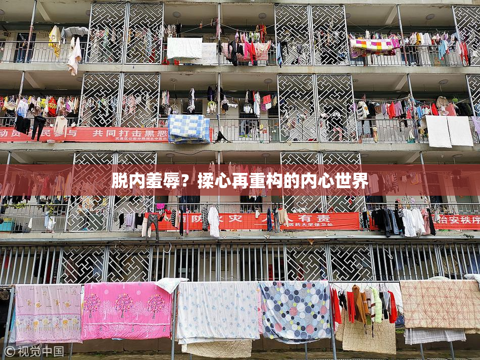 脱内羞辱？揉心再重构的内心世界