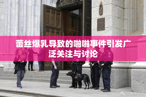 蕾丝爆乳导致的啪啪事件引发广泛关注与讨论