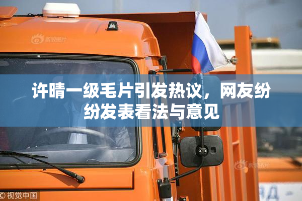 许晴一级毛片引发热议，网友纷纷发表看法与意见