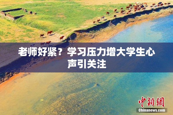 老师好紧？学习压力增大学生心声引关注