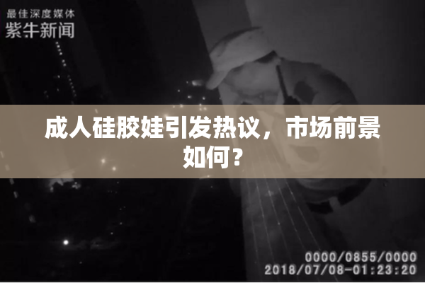 成人硅胶娃引发热议，市场前景如何？