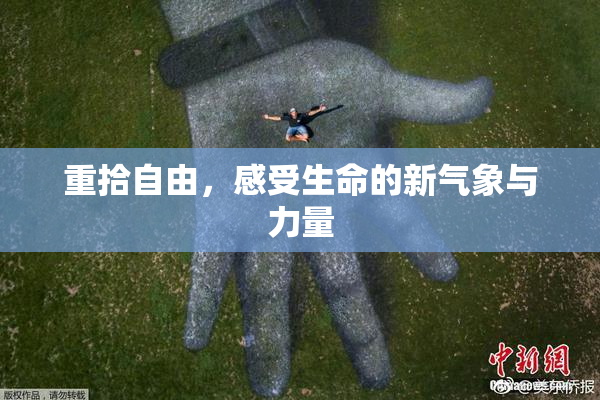 重拾自由，感受生命的新气象与力量