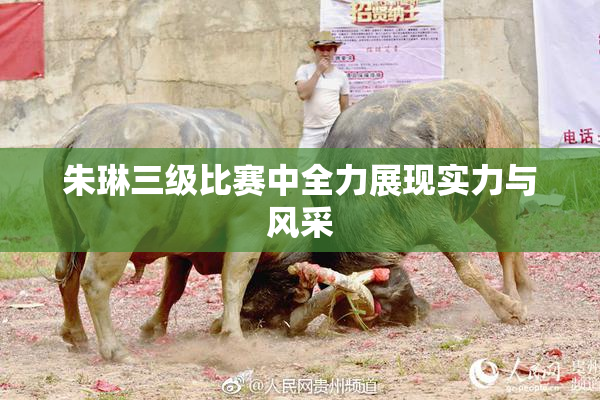 朱琳三级比赛中全力展现实力与风采
