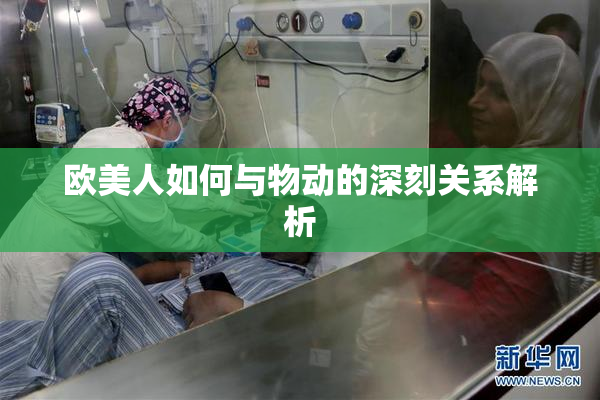 欧美人如何与物动的深刻关系解析